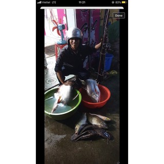 Bài mồi câu lance LK.Hoa