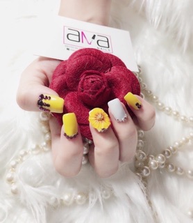 Hoa bột chân tay hướng dương