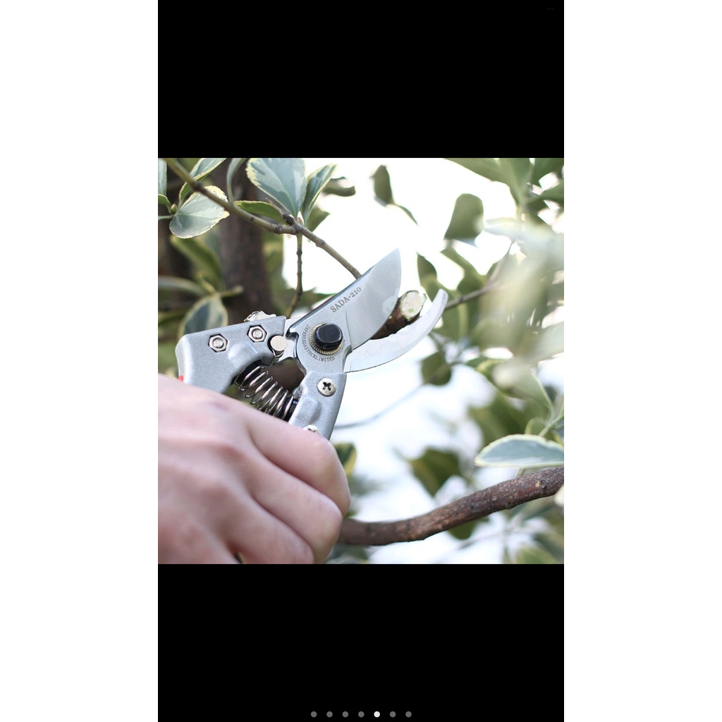 Kéo cắt tỉa cành SADA - 210 ( Nhật Bản)