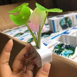 HOT!!! Đèn ngủ nấm