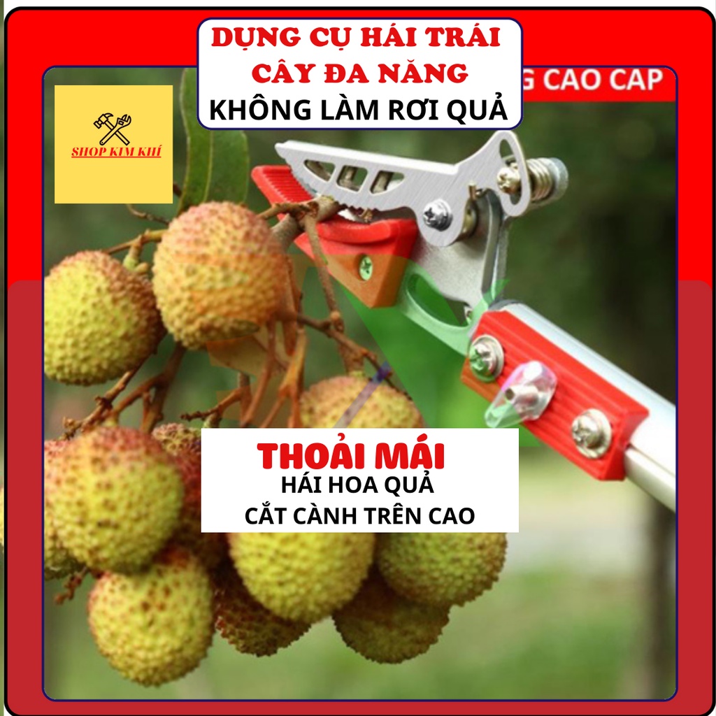 Dụng cụ hái trái cây đa năng Kéo gậy sào cắt tỉa cưa cành hái nhãn trên cao 3m 4m (đồ dùng làm vườn)