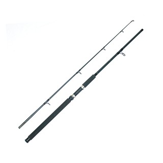 Cần Câu Máy Hai Khúc Daiwa 576 MW 2m1 - Cần Câu Cá Loại Tốt