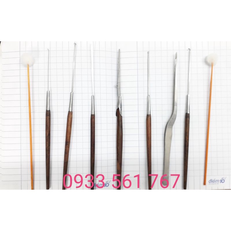 Bộ láy ráy tai cao cấp tặng kèm 1 cây bông loại tốt