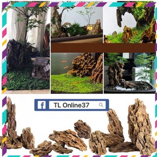 [ Rẻ ] Đá Tiger - Trang Trí Hồ Cá . tiểu Cảnh . Cây Cảnh