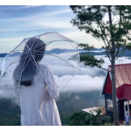 Ô dù đi mưa trong suốt Nhật Bản, chất liệu chống nước hiệu quả, bỏ túi tiện dụng
