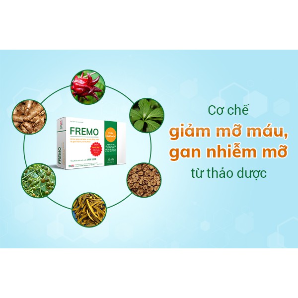 FREMO – Hỗ trợ hạ mỡ máu, gan nhiễm mỡ, giảm cholesterol (20 viên)