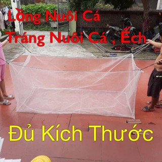 Tráng Nuôi Cá , Nuôi Ếch