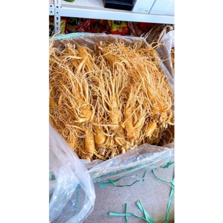 Sâm Tươi Hàn Quốc 8 Củ 1 Kg Loại Thân Dài Đẹp Kiểm Tra Hàng Trước Khi Thanh Toán [ Hàng Mới Về ]