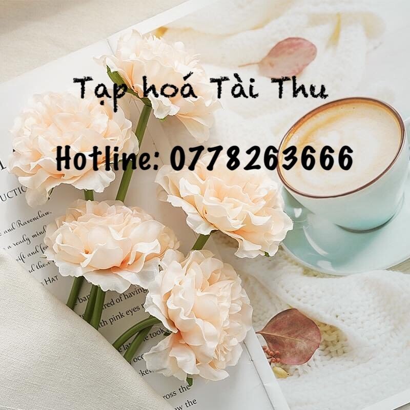 Tạp hóa Tài Thu 87