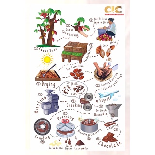 Ca cao hạt vỡ - Cocoa Nibs - 500g