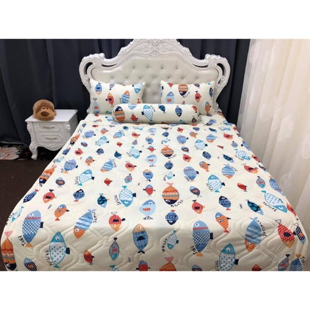 Drap thun hàn quốc