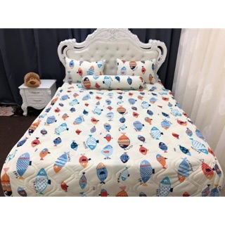Drap thun hàn quốc