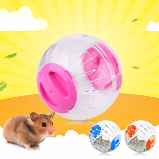 Banh chạy không đế cho hamster