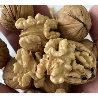 HẠT ÓC CHÓ NHẬP KHẨU - 500G