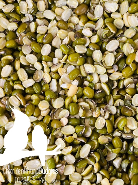 1KG ĐẬU XANH BỂ ĐÔI nguyên liệu làm bánh, nấu chè.