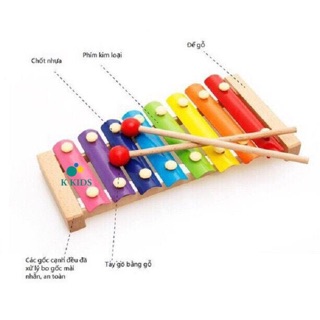 Đồ chơi đàn gỗ học 8 âm cho bé