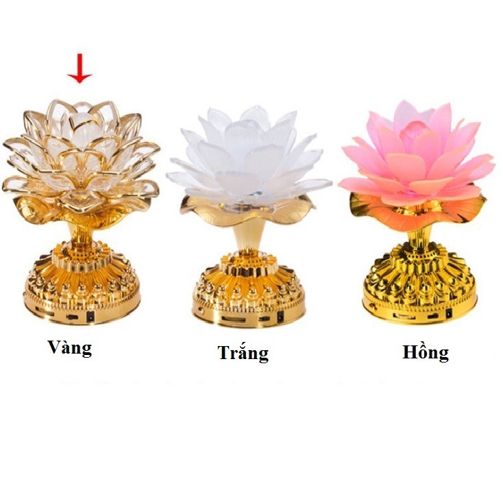 Đèn bàn thờ LED Hoa sen nhiều màu đa năng xài pin / điện_video