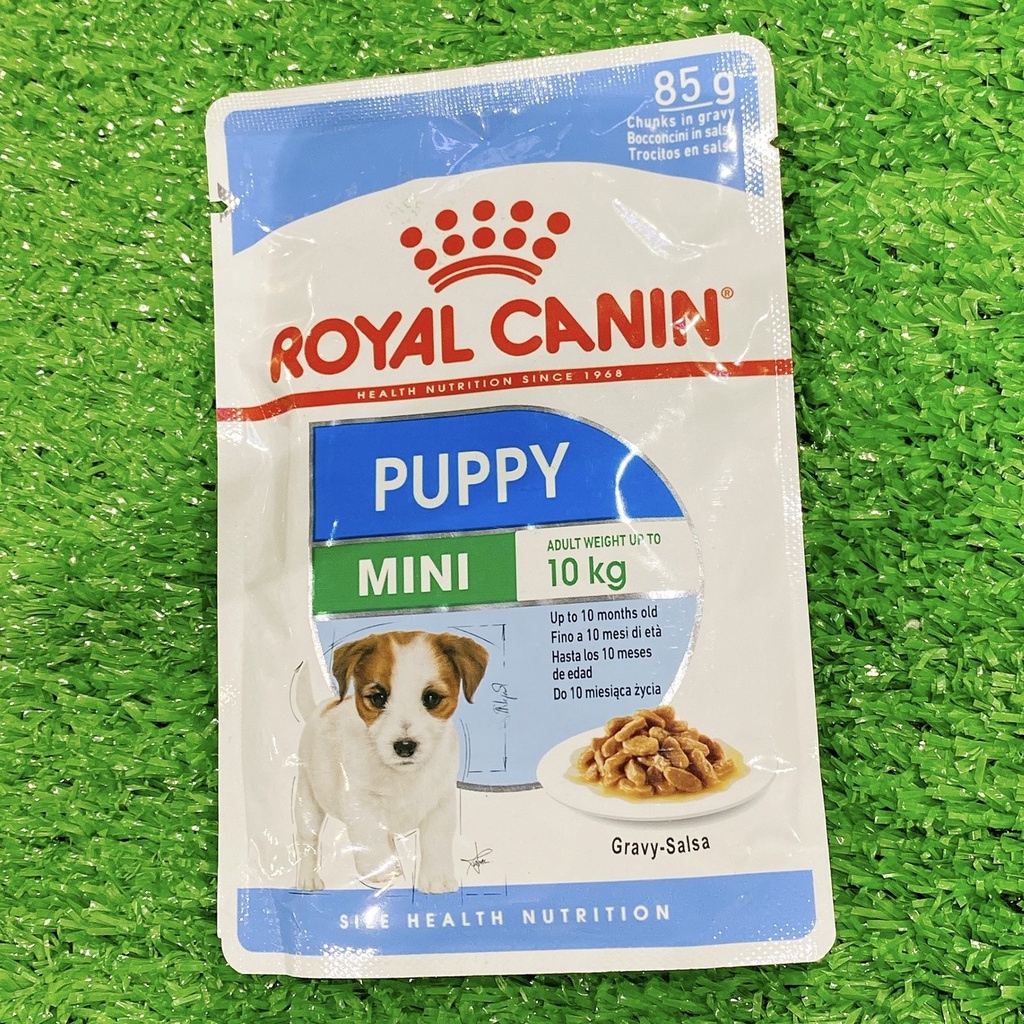 Pate cho chó con Royal Canin Puppy