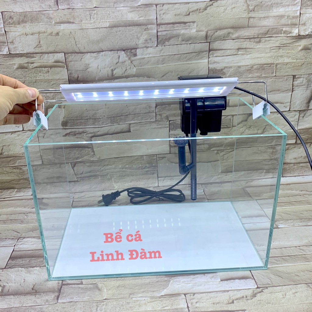 Bể cá mini kính siêu trong dài 35cm - Bể cá đẹp để bàn
