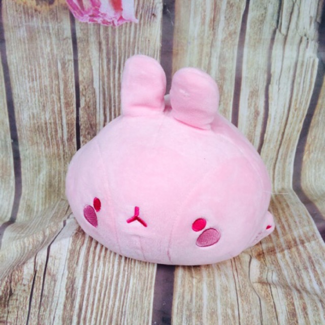 Gấu bông molang size 25-30cm