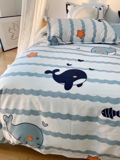 Chăn ga gối cotton poly - set 4 món