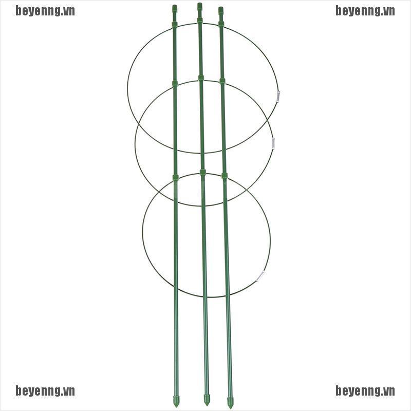 Khung Hỗ Trợ Trồng Cây Dây Leo 60cm