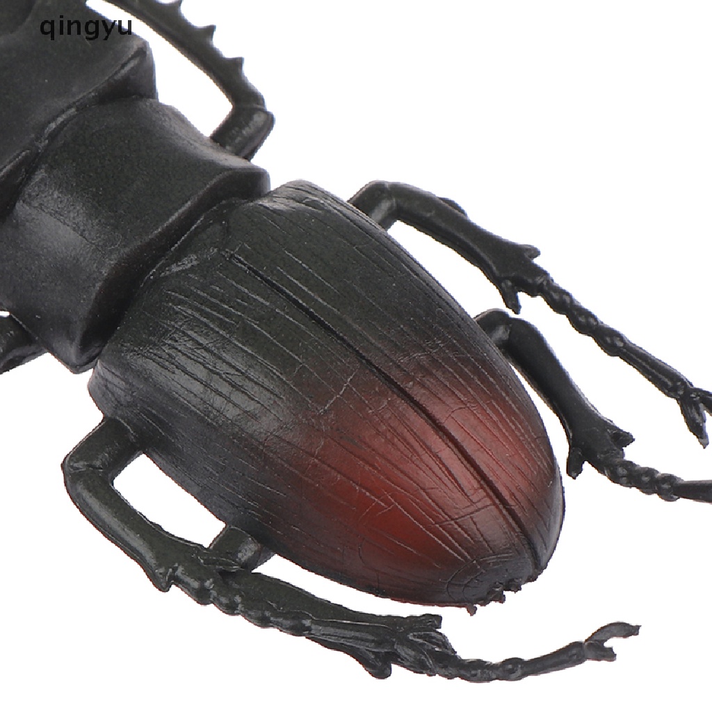 Mô Hình Côn Trùng Sống Động Như Thật Dùng Dạy Học