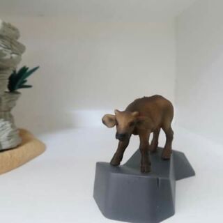 Mô hình động vật Trâu rừng Châu Phi con Schliech