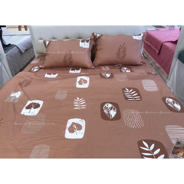 Bộ ga gối Sông Hồng Basic cotton BC22062
