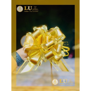 Nơ rút tú cầu | lu