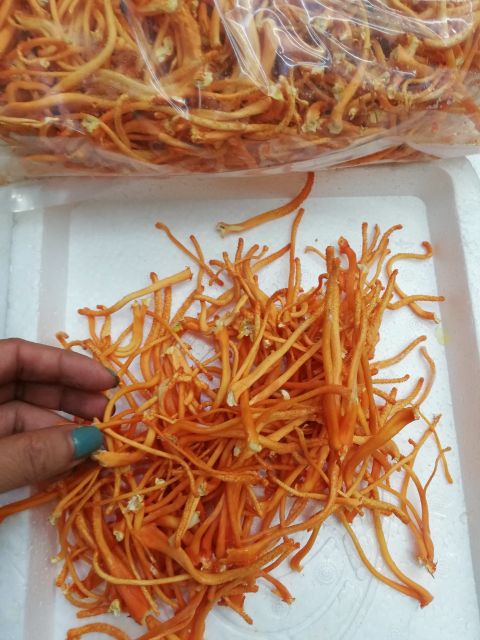 100g đông trùng sấy thăng hoa khô hút chân không