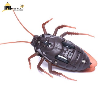 Con Gián Đồ Chơi Điều Khiển Từ Xa