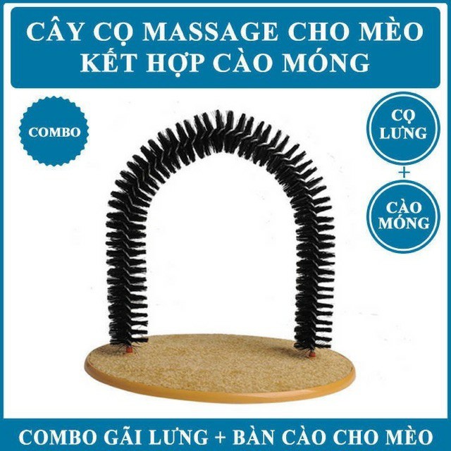 CỔNG GÃI NGỨA, LẤY LÔNG, MASSAGE LƯNG CHO MÈO