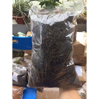 Rớn vụn trồng lan