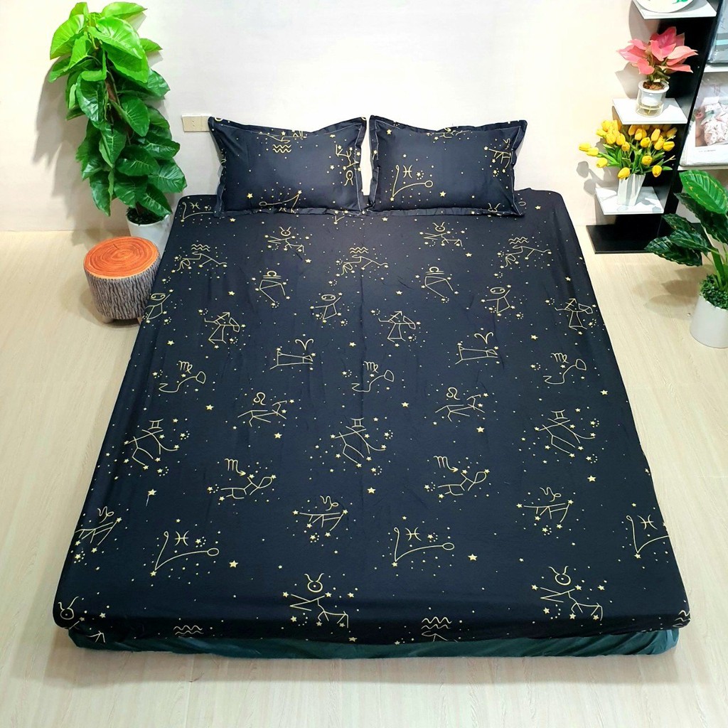 Chăn ga gối cotton poly 2m2 x 2m ( được chọn mẫu )