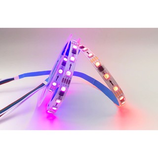 LED DÁN WS2818 TM1934 FULL MÀU TỰ ĐỘNG BỎ QUA LED HỎNG