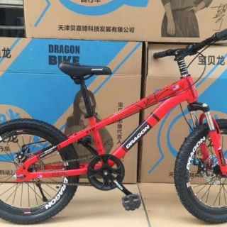 Xe đạp trẻ em Dragon 20 inch