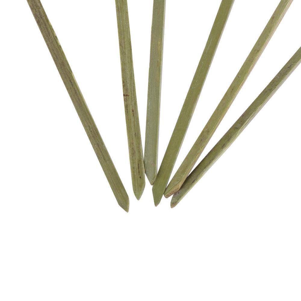 Set 100 Nĩa Ghim Trái Cây Trang Trí Tiệc