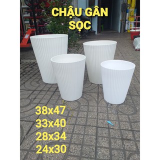 Chậu nhựa gân sọc