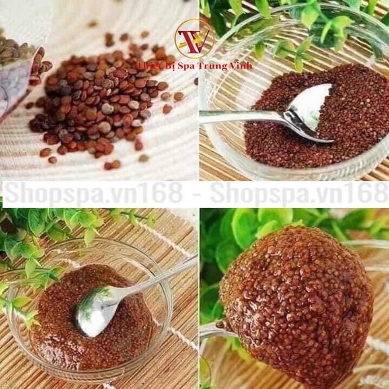 Hạt Đình Lịch  T127 sản phẩm handmade từ thiên nhiên