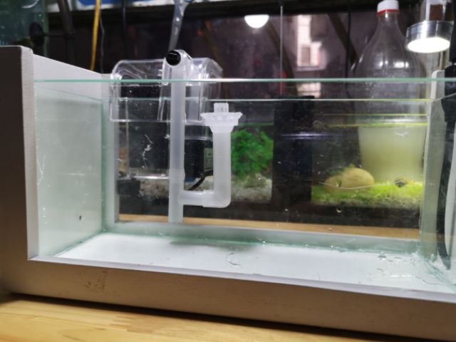 Combo bể cá kèm lọc thác+hút váng