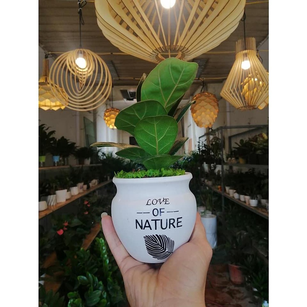 Đèn gỗ nghệ thuật tròn đồng tâm xoáy