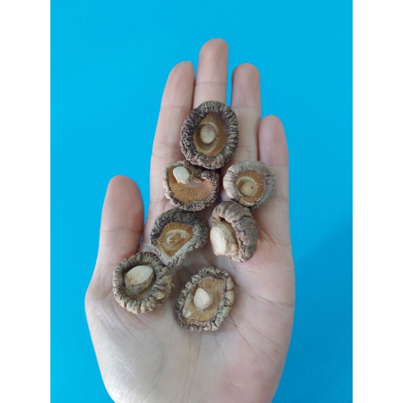100gr Nấm hương khô loại 1