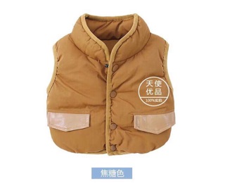 Freeship 99k TQ_Áo gile phao