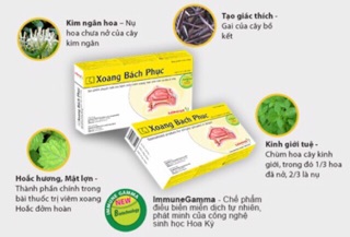 Xoang Bách Phục