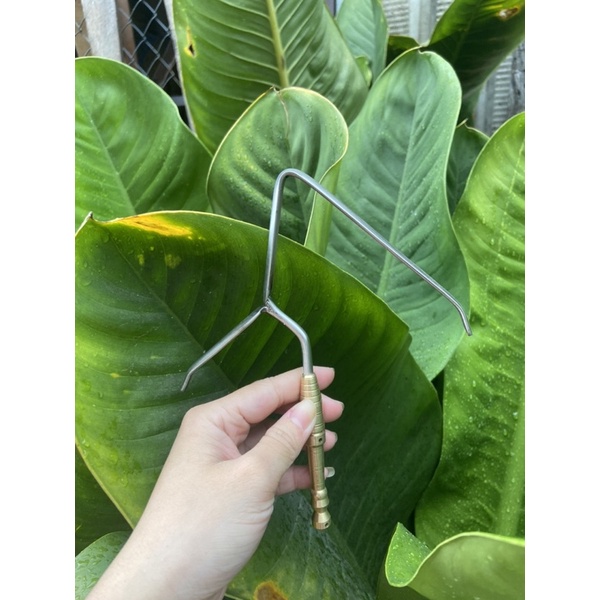 Móc trụ ty đồng chẻ cu gáy PILE khoan lỗ theo yêu cầu