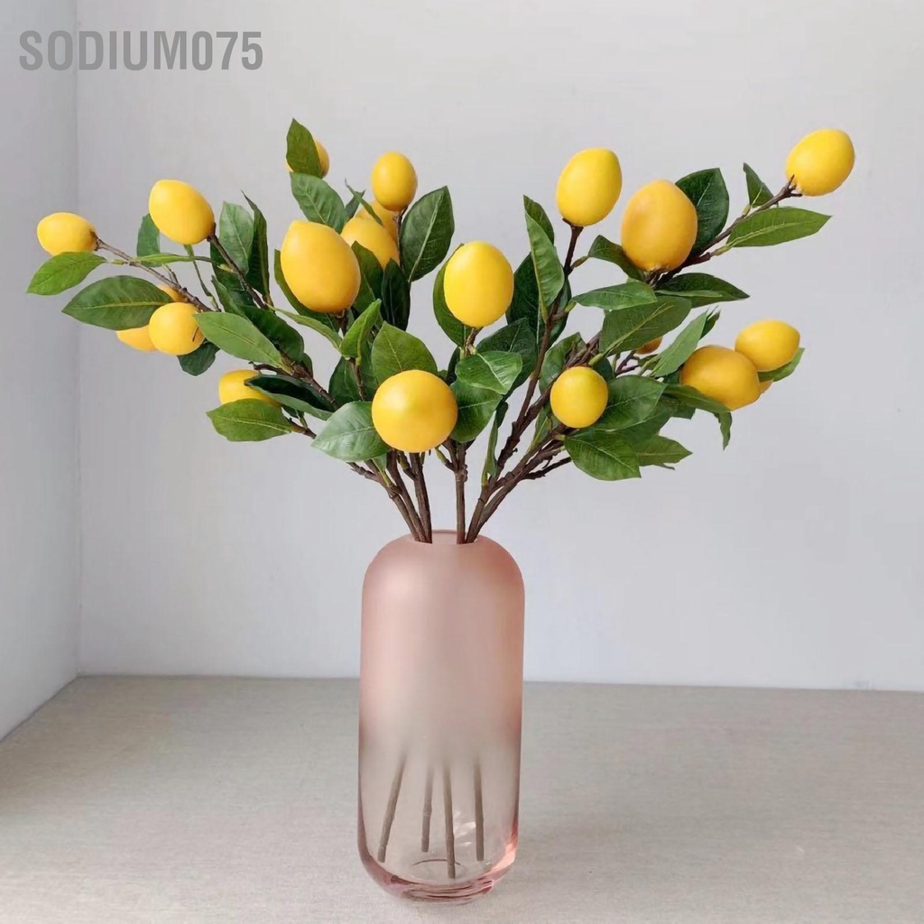 Có thể bán buôn Cành chanh nhân tạo vàng 65cm dài Lá cây xanh cho phòng khách Trang trí mô hình Sodium075 Hàng giao ngay