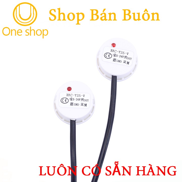 Bộ Điều Khiển Mực Nước Tự Động XKC-350-2P 12VDC / Tải 220VAC 800W