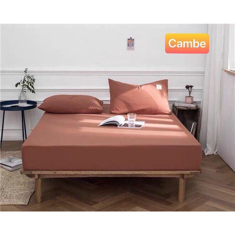 Sét ga gối cotton Tici phong cách hàn Quốc ( không kèm ruột )