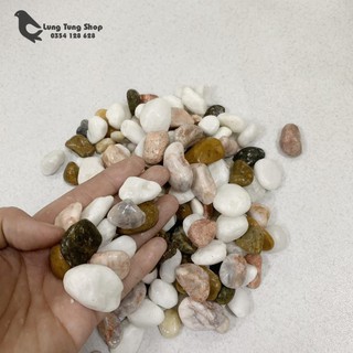 Đá sỏi hỗn hợp ( chọn size )